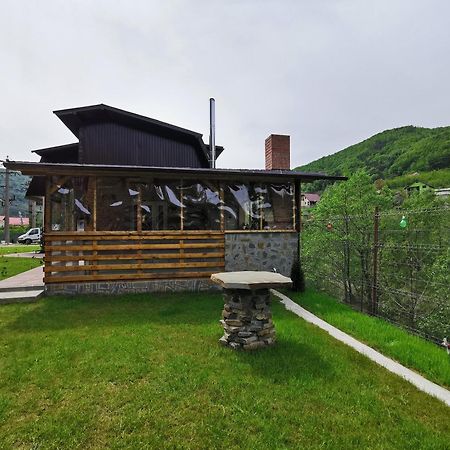 Casa Vio Konuk evi Nehoiu Dış mekan fotoğraf