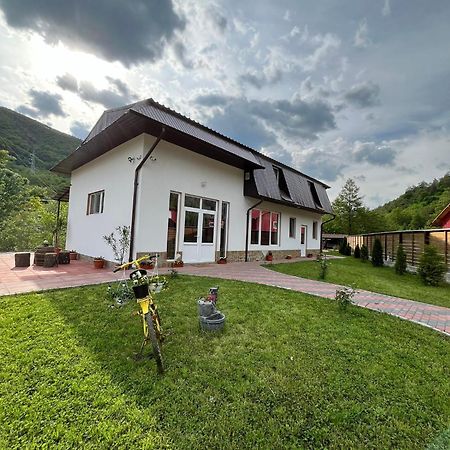 Casa Vio Konuk evi Nehoiu Dış mekan fotoğraf