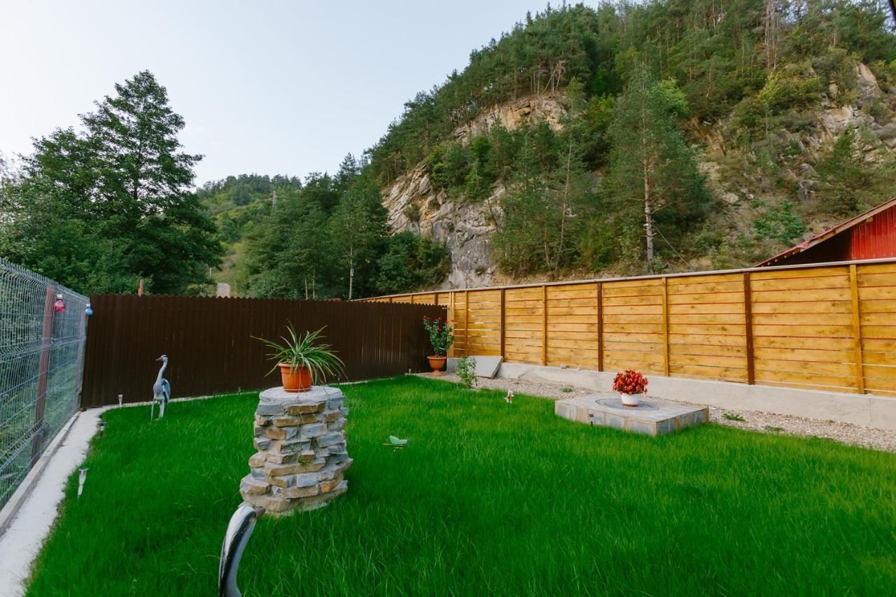 Casa Vio Konuk evi Nehoiu Dış mekan fotoğraf