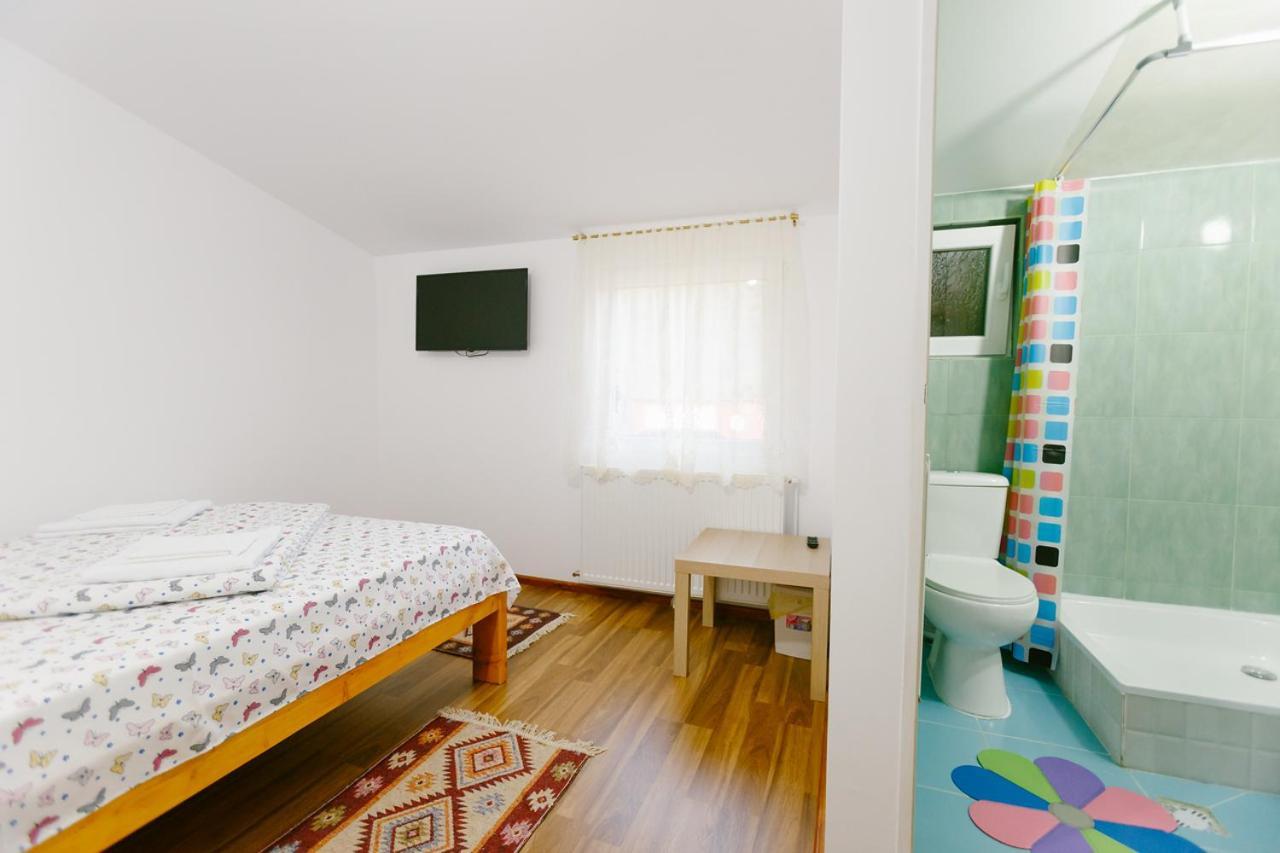 Casa Vio Konuk evi Nehoiu Dış mekan fotoğraf