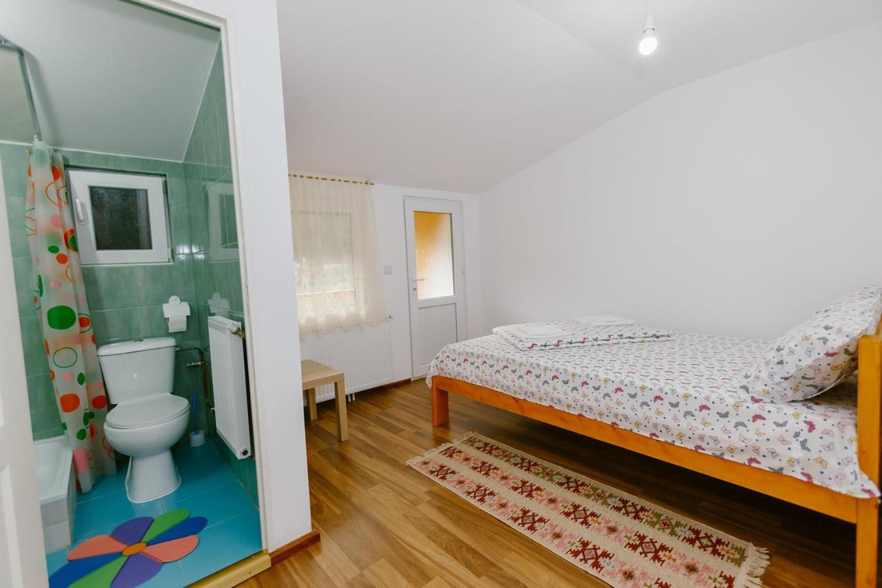 Casa Vio Konuk evi Nehoiu Dış mekan fotoğraf