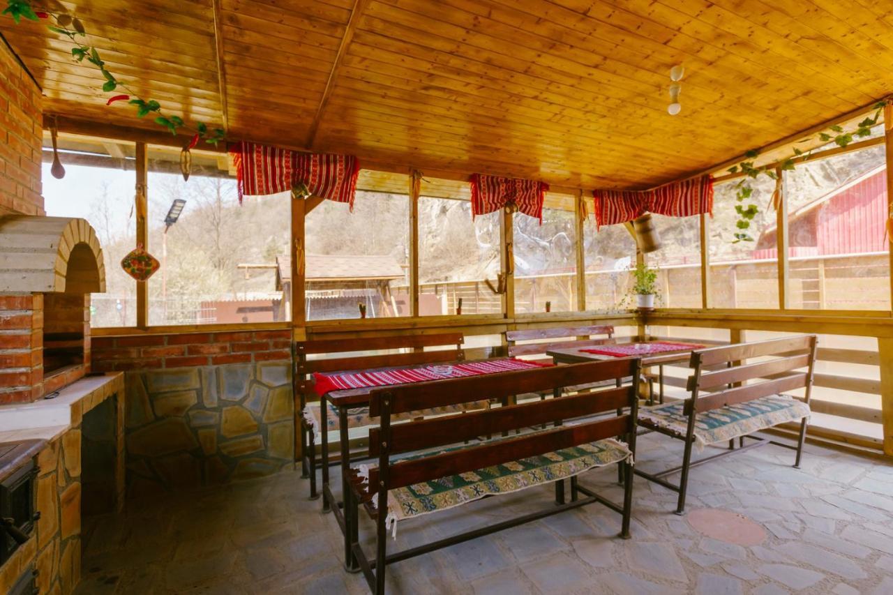 Casa Vio Konuk evi Nehoiu Dış mekan fotoğraf