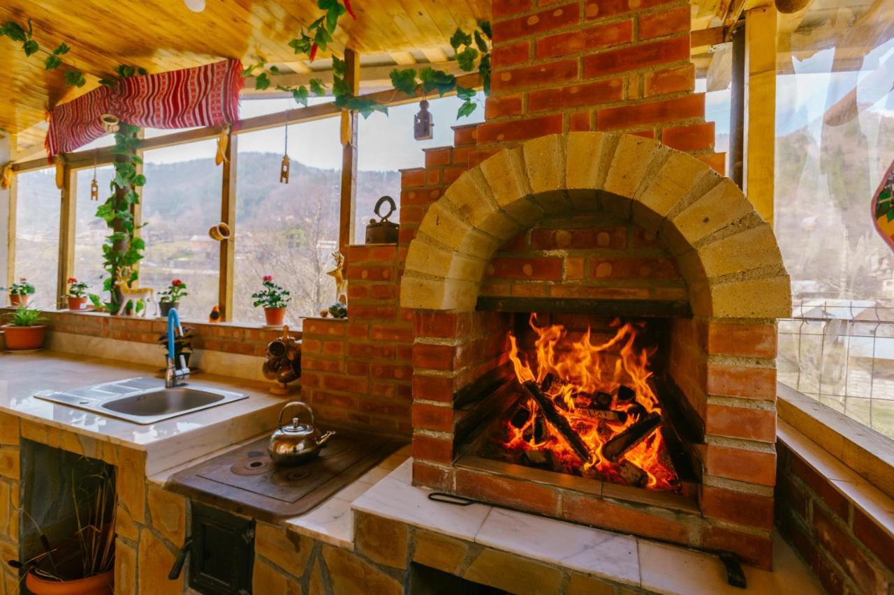 Casa Vio Konuk evi Nehoiu Dış mekan fotoğraf