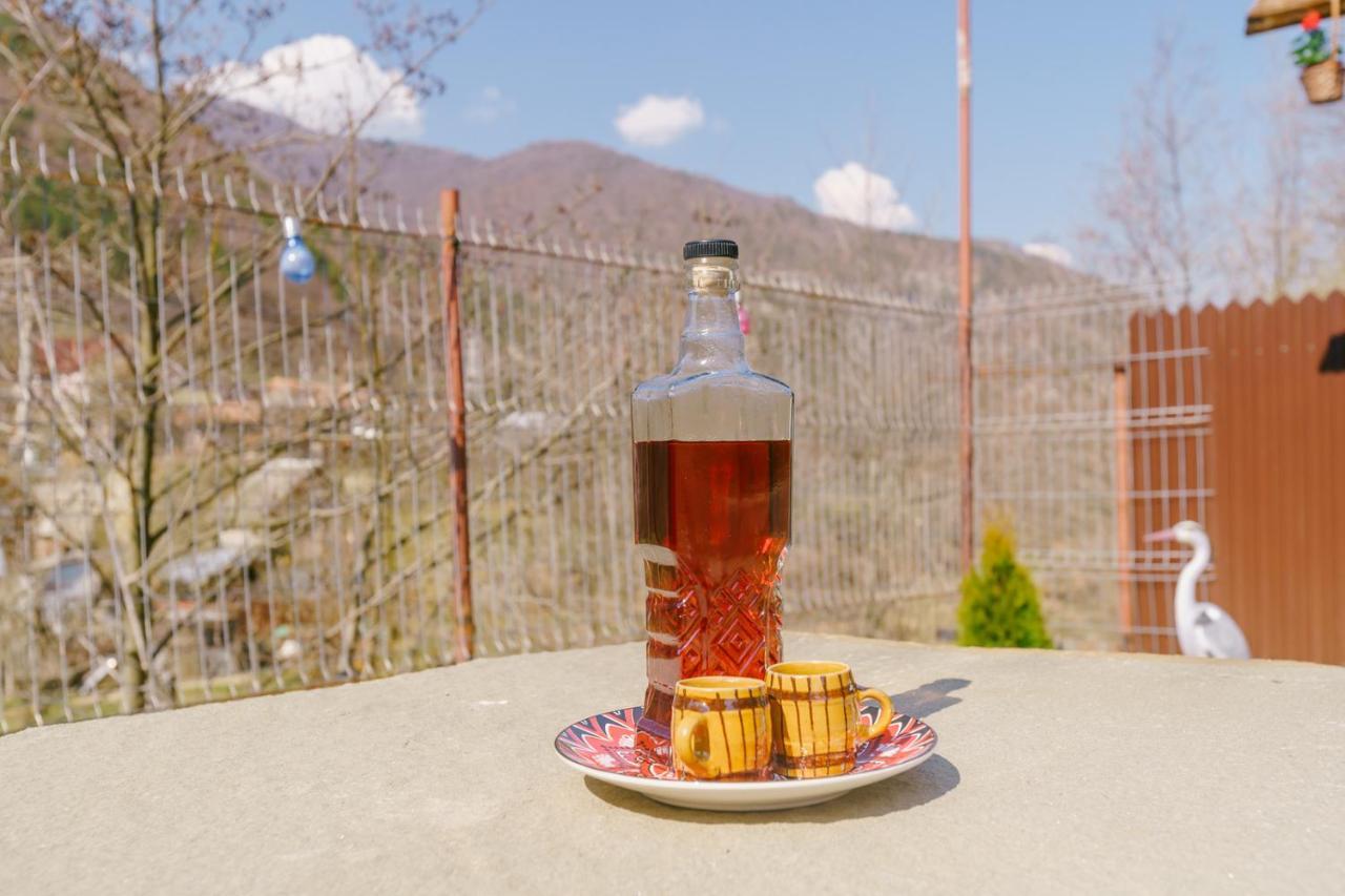 Casa Vio Konuk evi Nehoiu Dış mekan fotoğraf