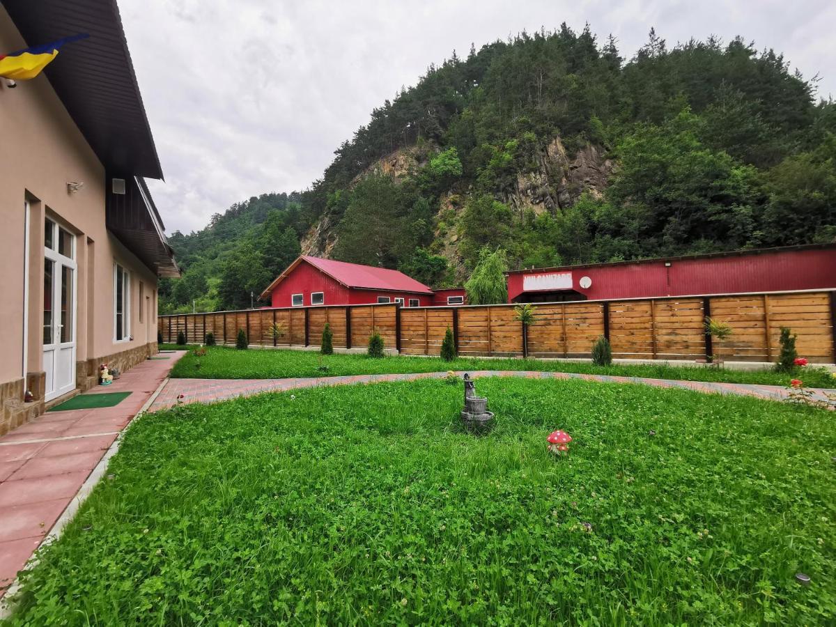 Casa Vio Konuk evi Nehoiu Dış mekan fotoğraf