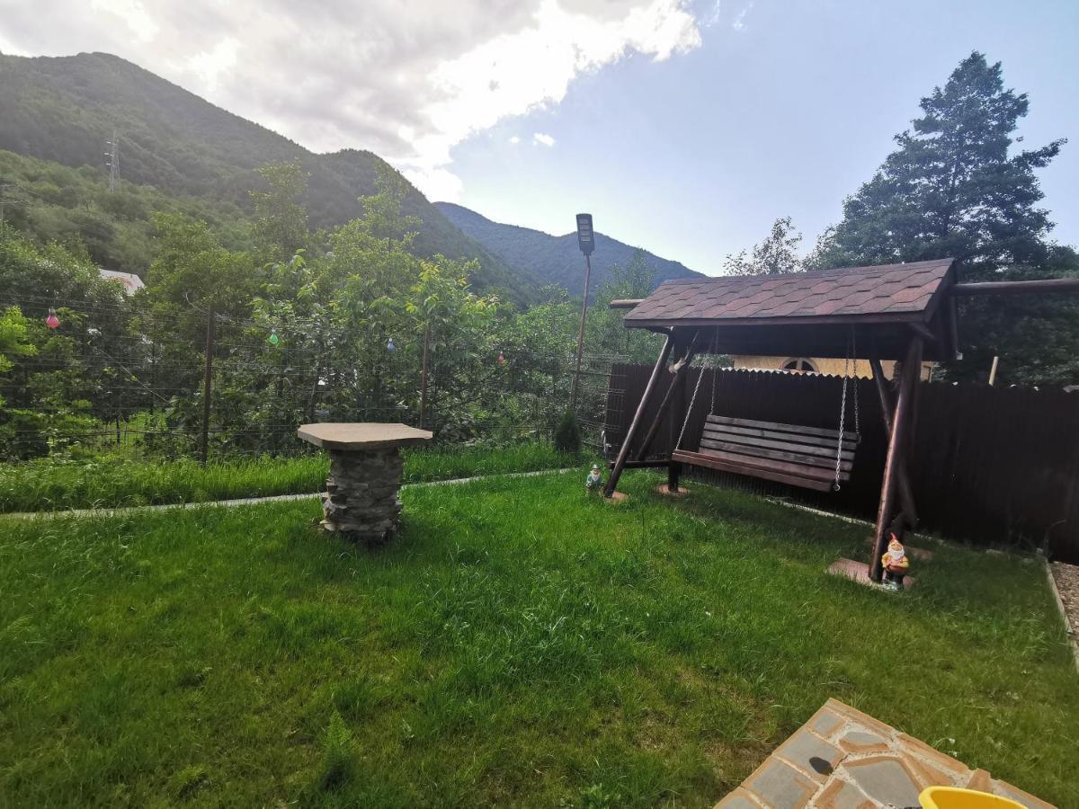 Casa Vio Konuk evi Nehoiu Dış mekan fotoğraf