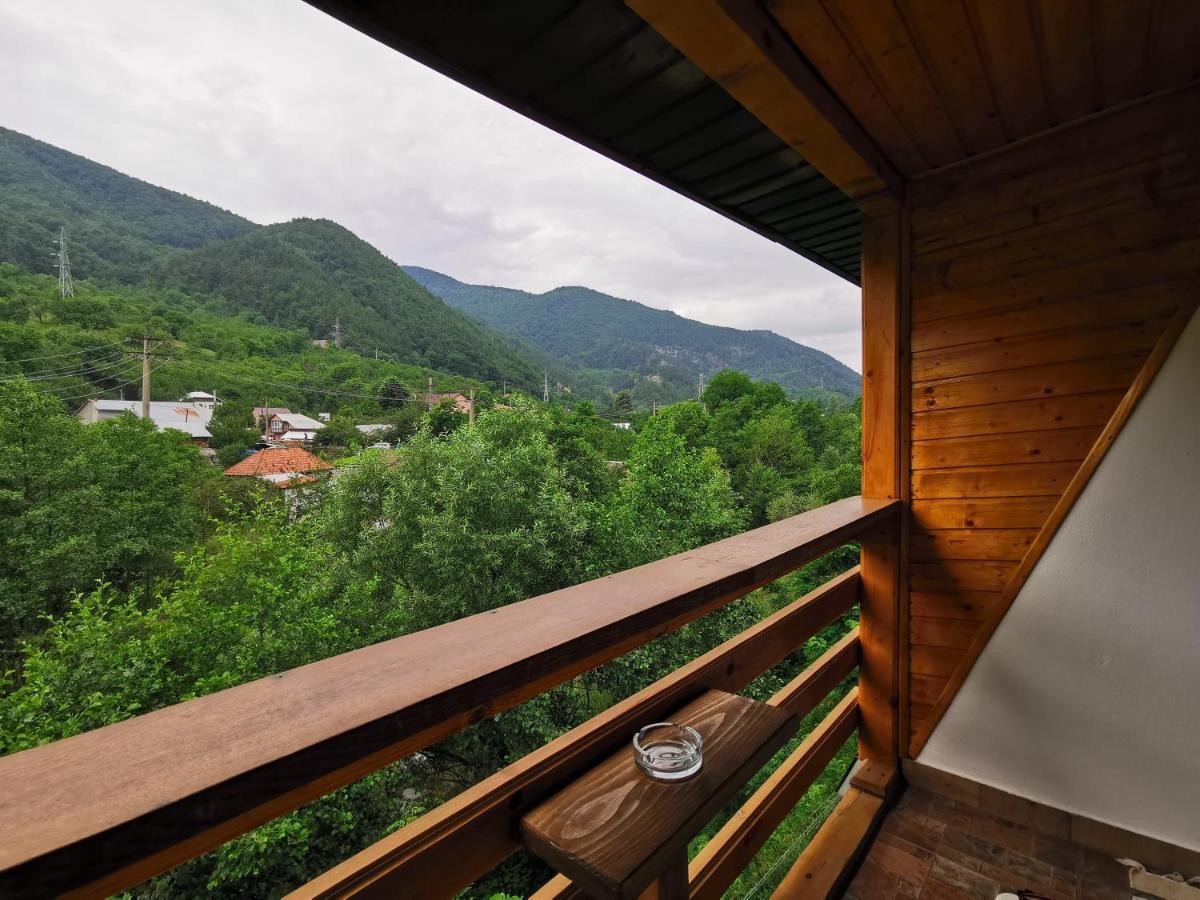 Casa Vio Konuk evi Nehoiu Dış mekan fotoğraf