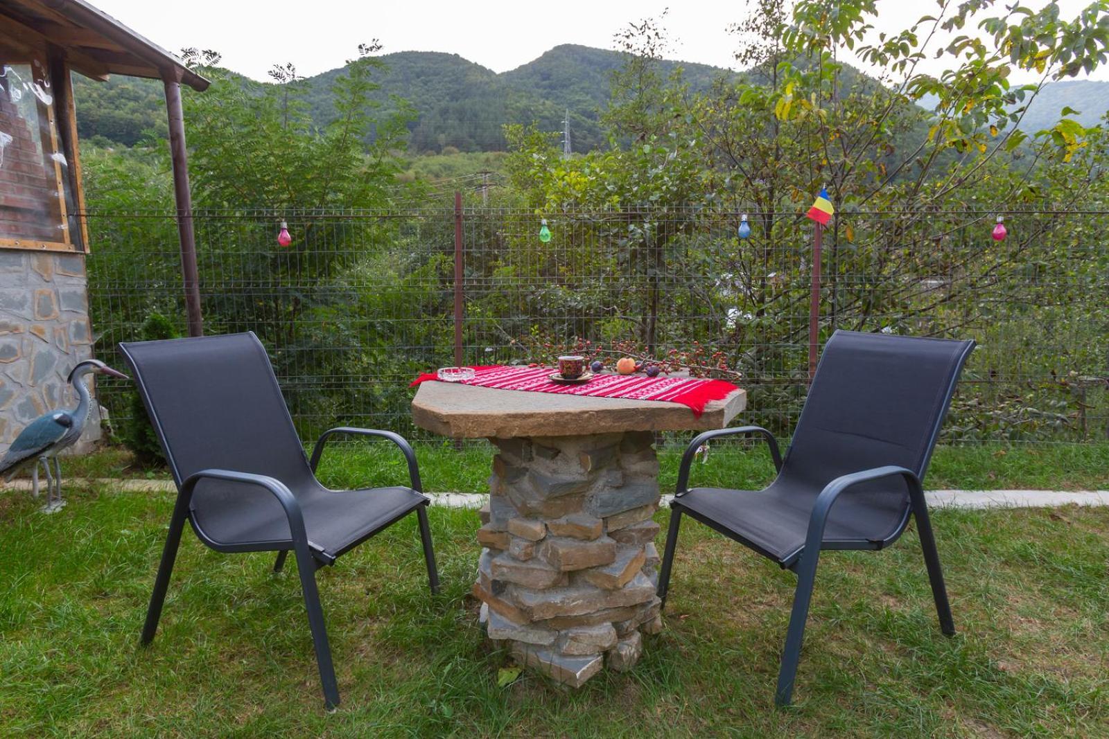 Casa Vio Konuk evi Nehoiu Dış mekan fotoğraf