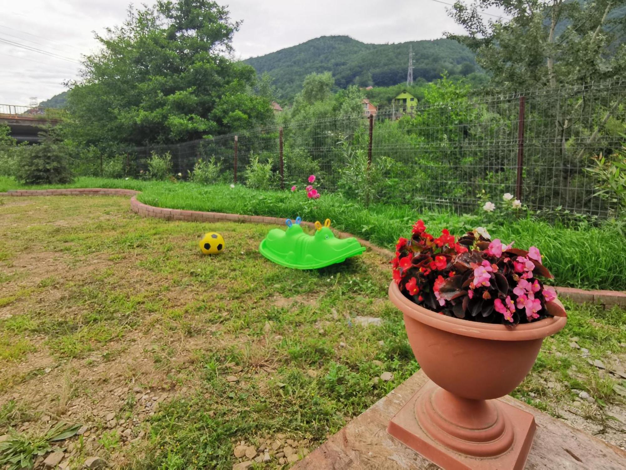 Casa Vio Konuk evi Nehoiu Dış mekan fotoğraf