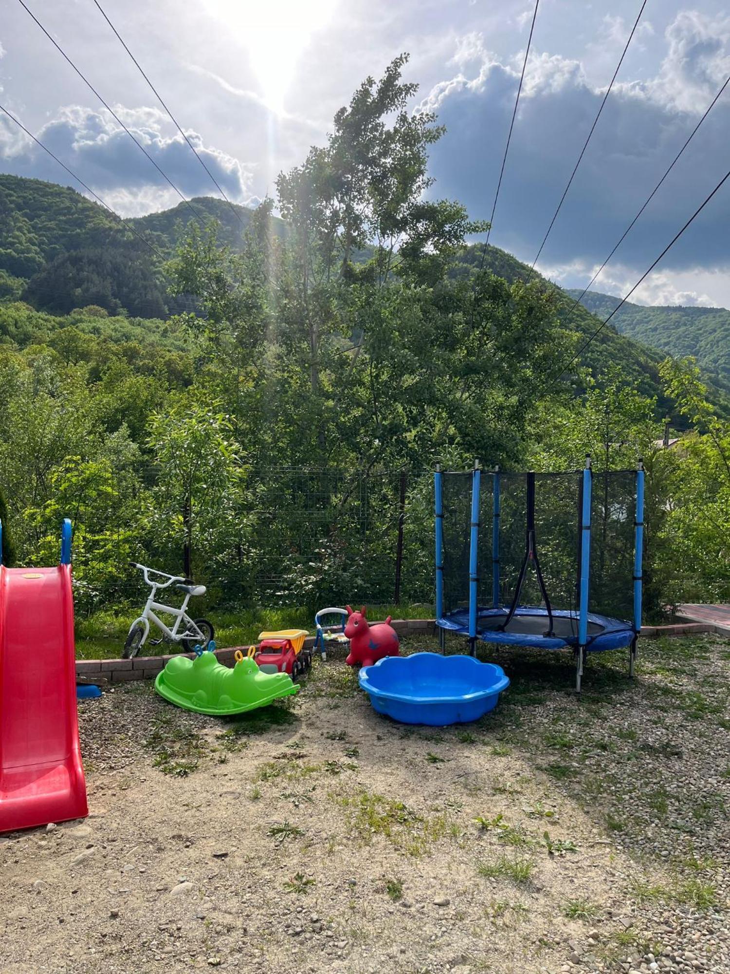 Casa Vio Konuk evi Nehoiu Dış mekan fotoğraf
