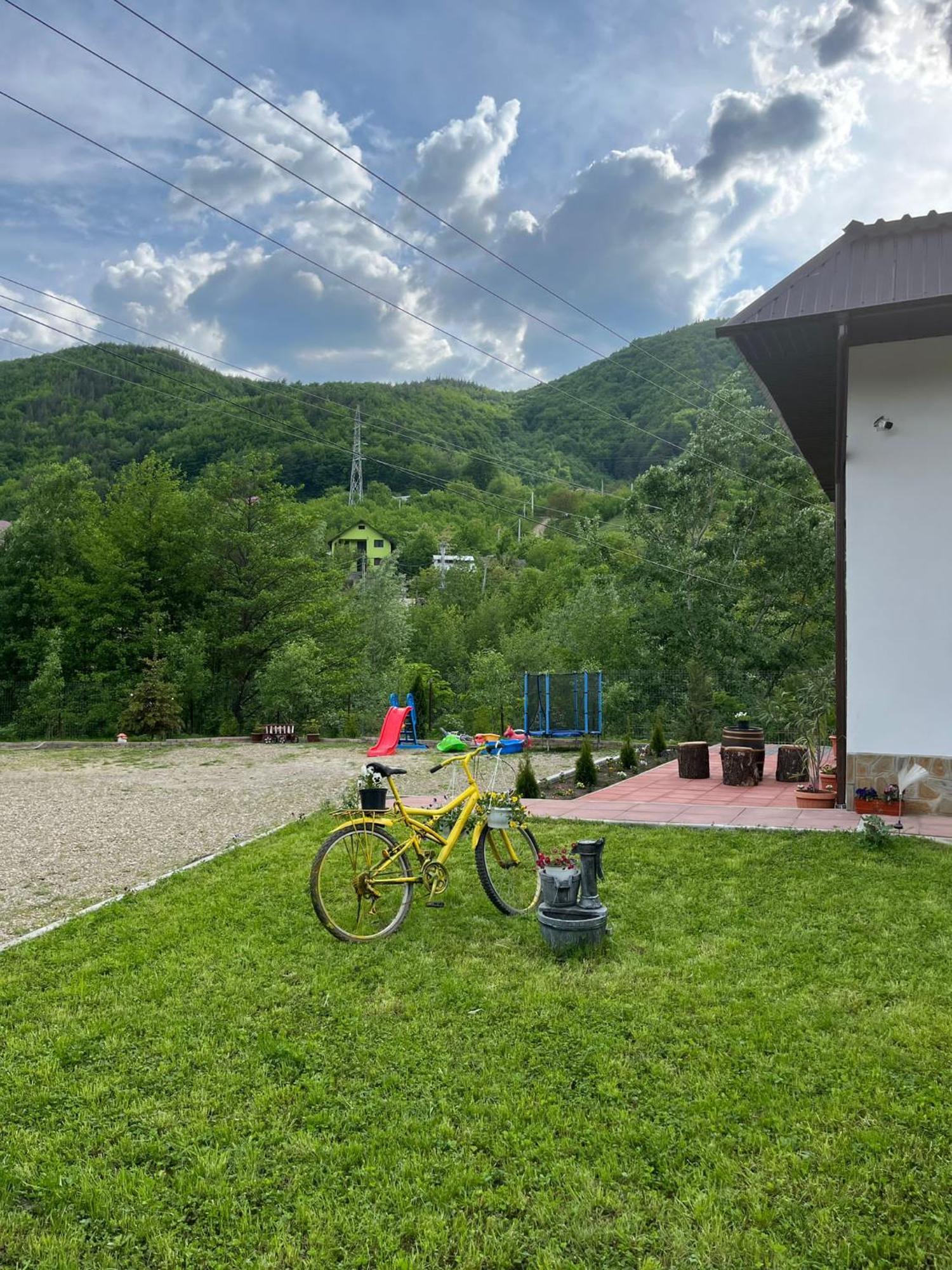 Casa Vio Konuk evi Nehoiu Dış mekan fotoğraf