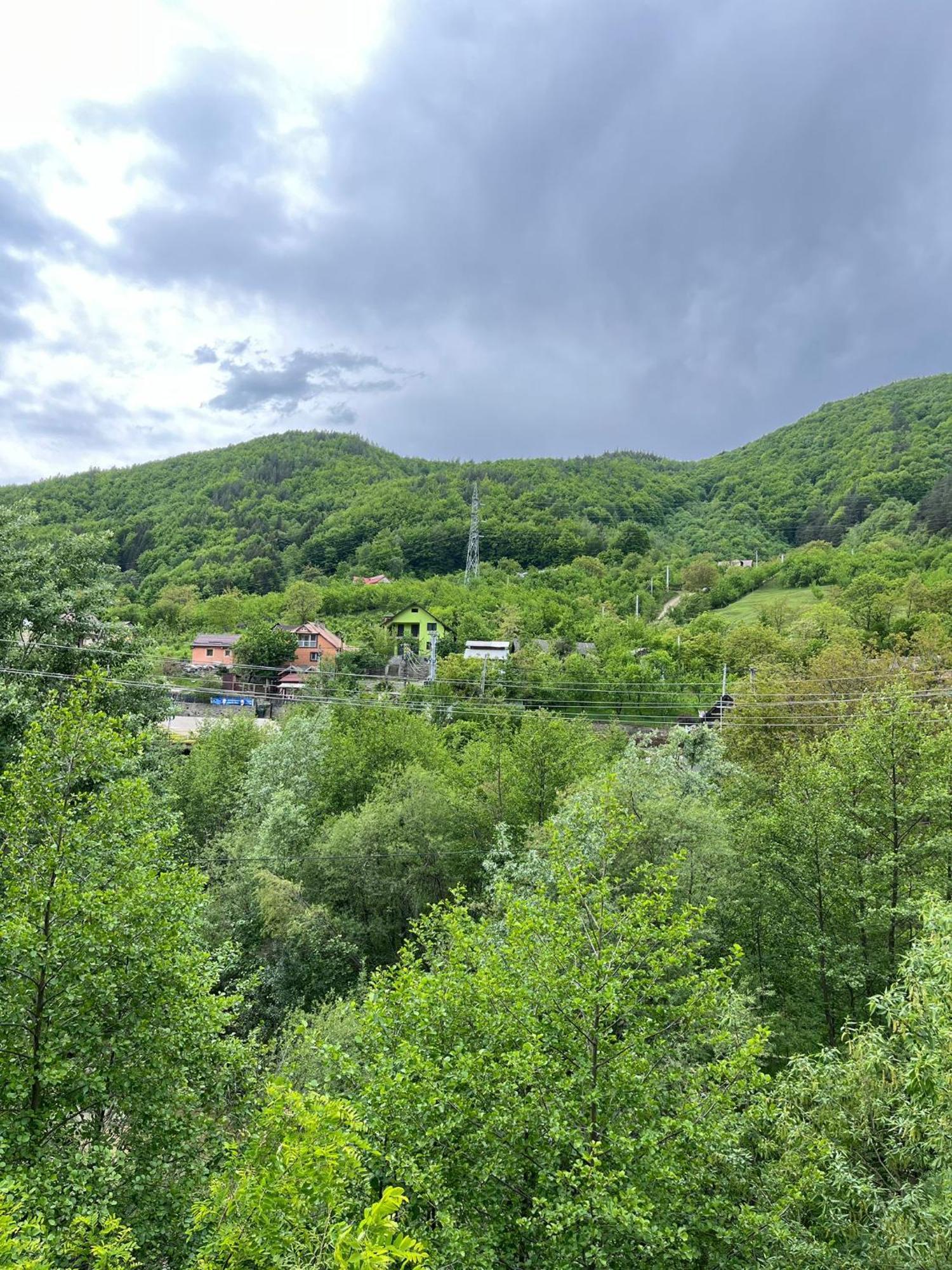 Casa Vio Konuk evi Nehoiu Dış mekan fotoğraf