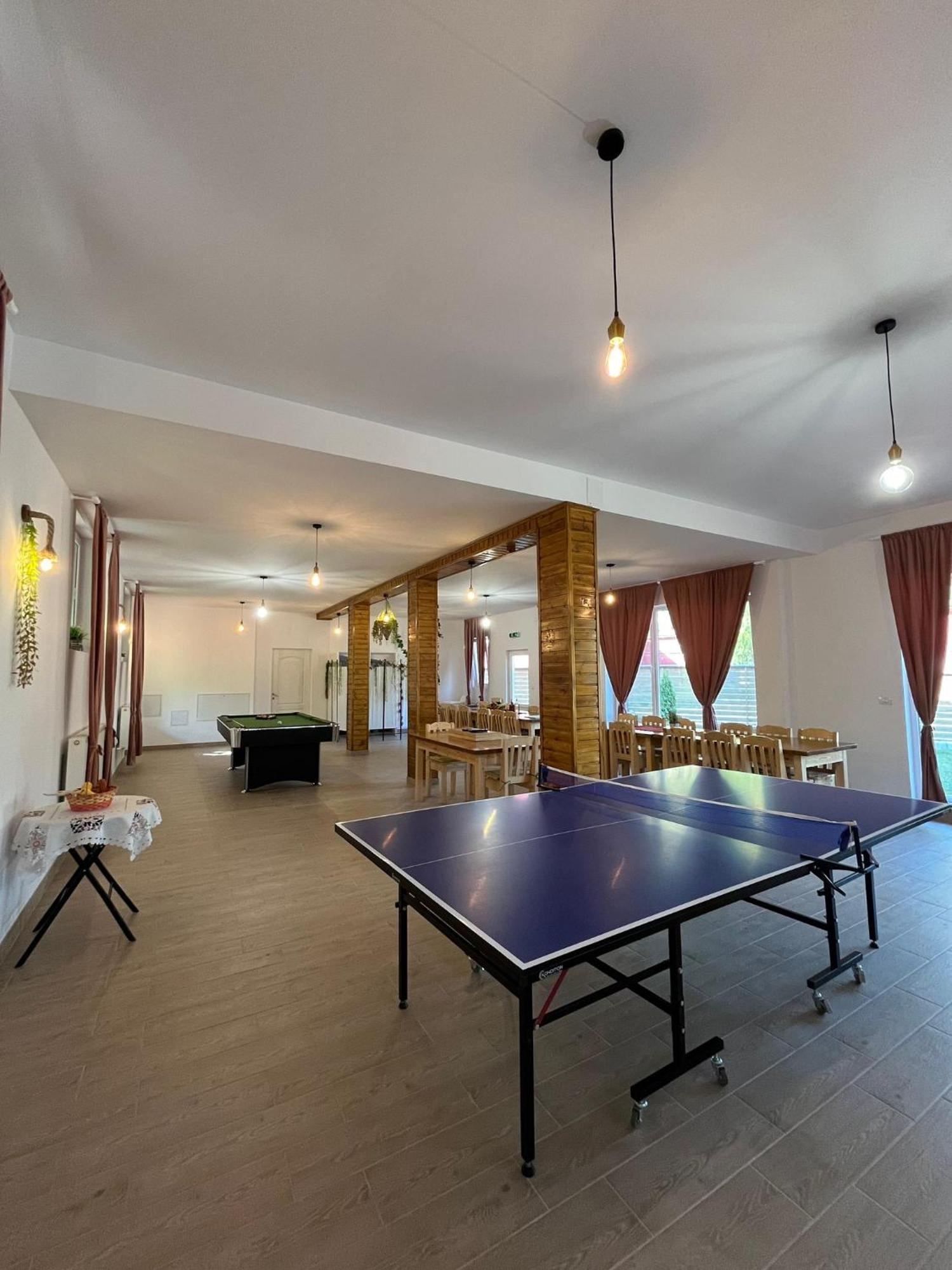 Casa Vio Konuk evi Nehoiu Dış mekan fotoğraf