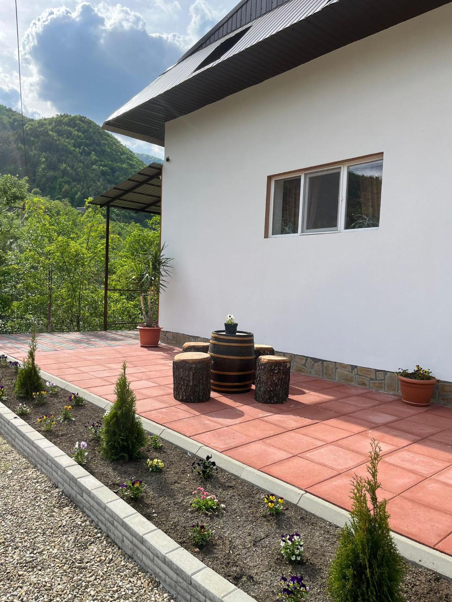 Casa Vio Konuk evi Nehoiu Dış mekan fotoğraf