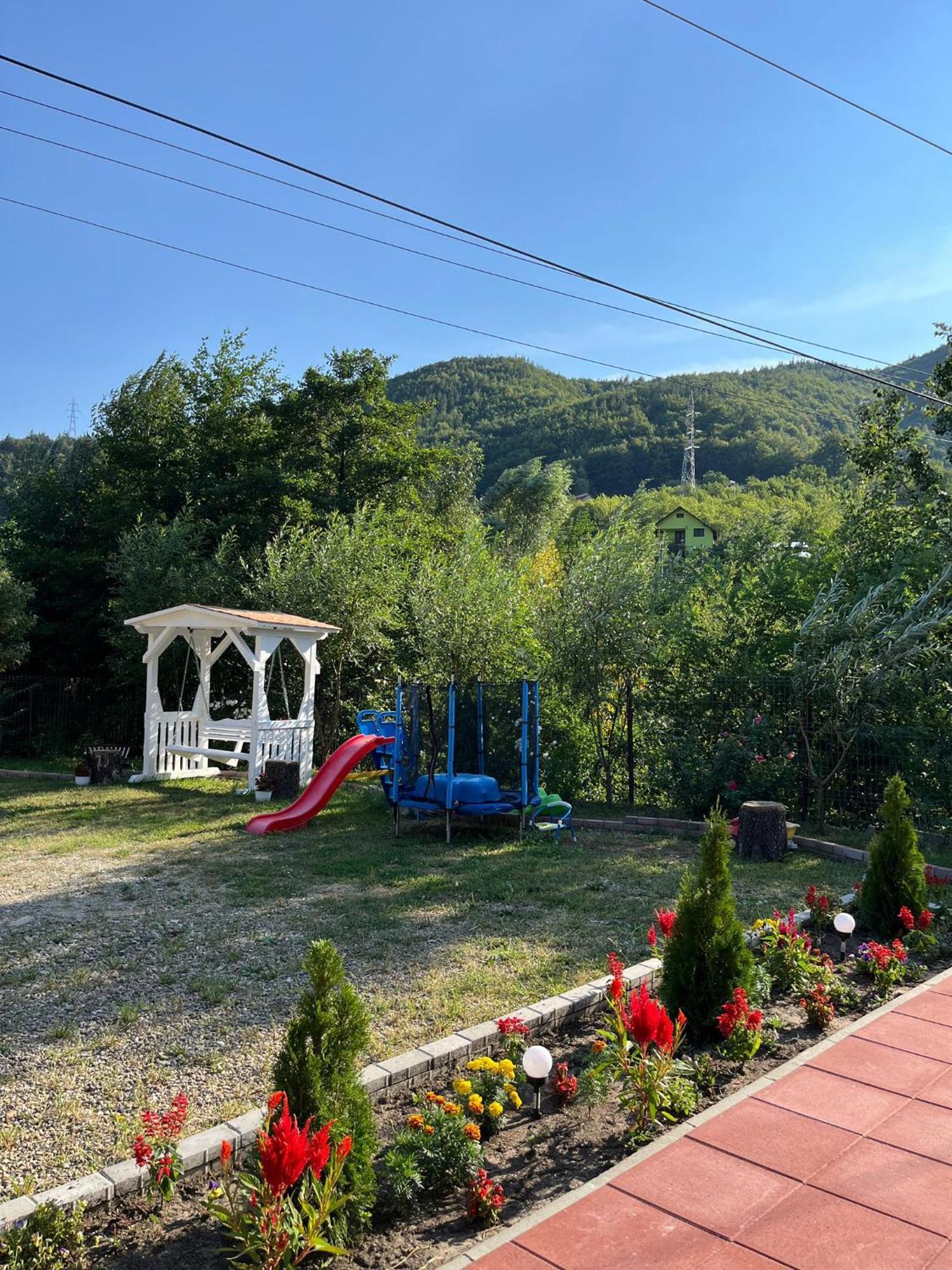 Casa Vio Konuk evi Nehoiu Dış mekan fotoğraf