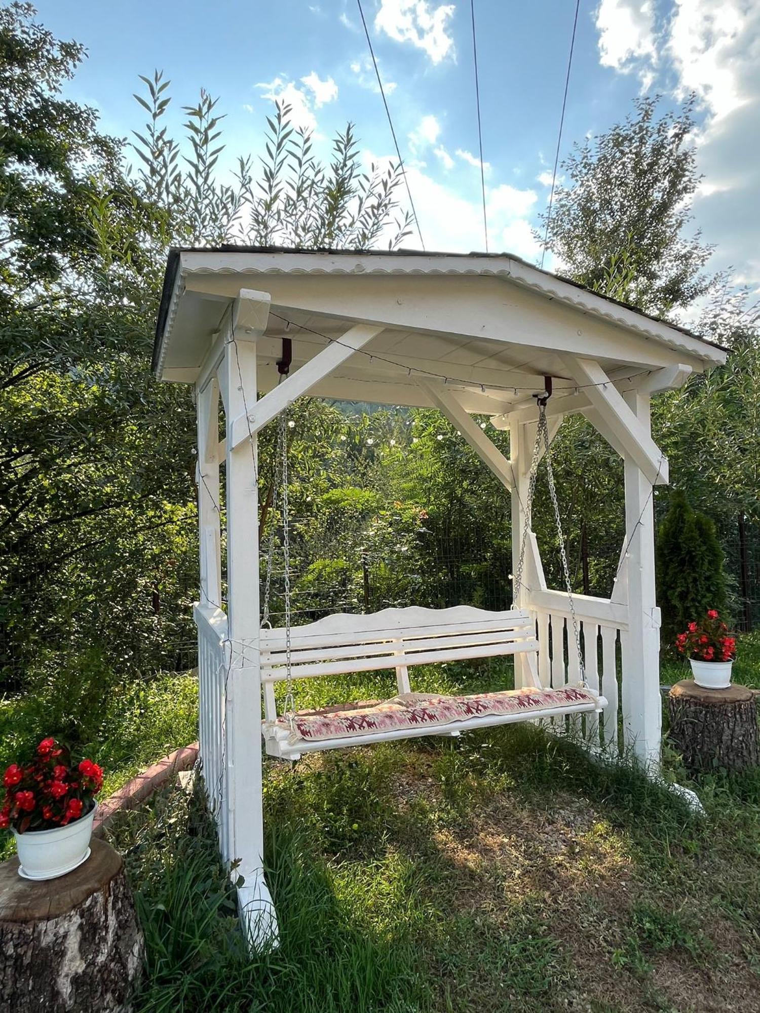 Casa Vio Konuk evi Nehoiu Dış mekan fotoğraf